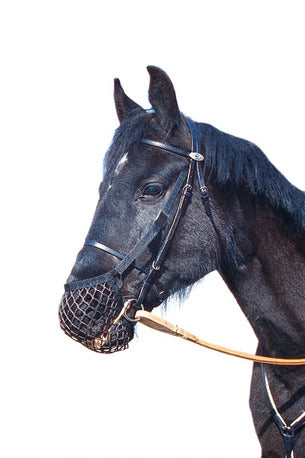 RETE PER CAVALLI CHE TIRANO VELJ WAHLSTEN