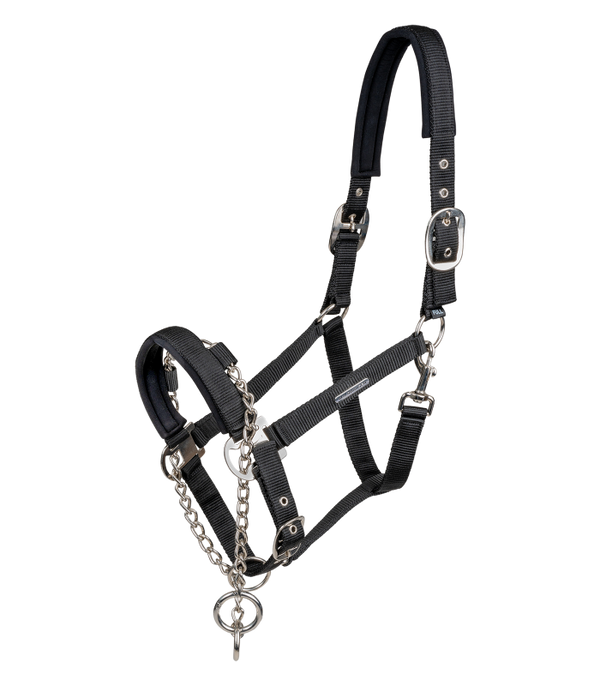 CAVEZZA PRO SAFETY WALDHAUSEN 5051801