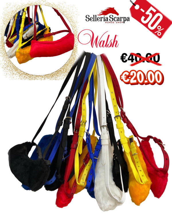CAVEZZINO WALSH