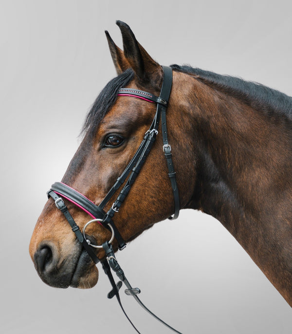 BRIGLIA INGLESE MINISHETTY WALDHAUSEN 81357054th