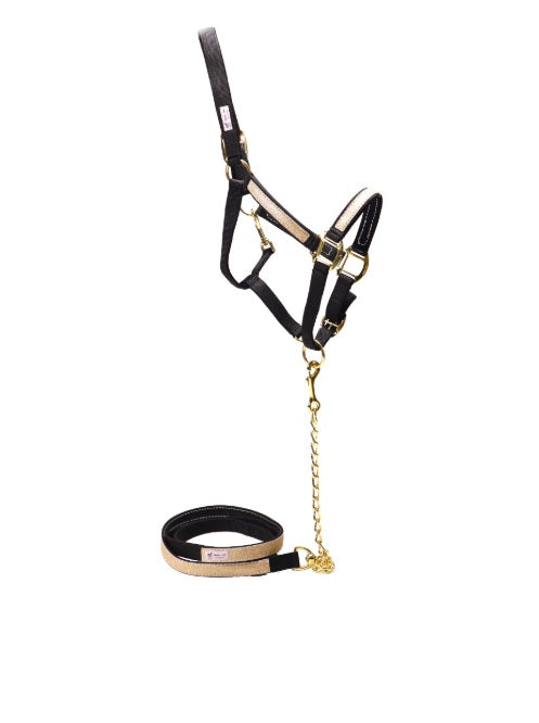 CAVEZZA E LUNGHINA GLITTER NERA E ORO RACING TACK