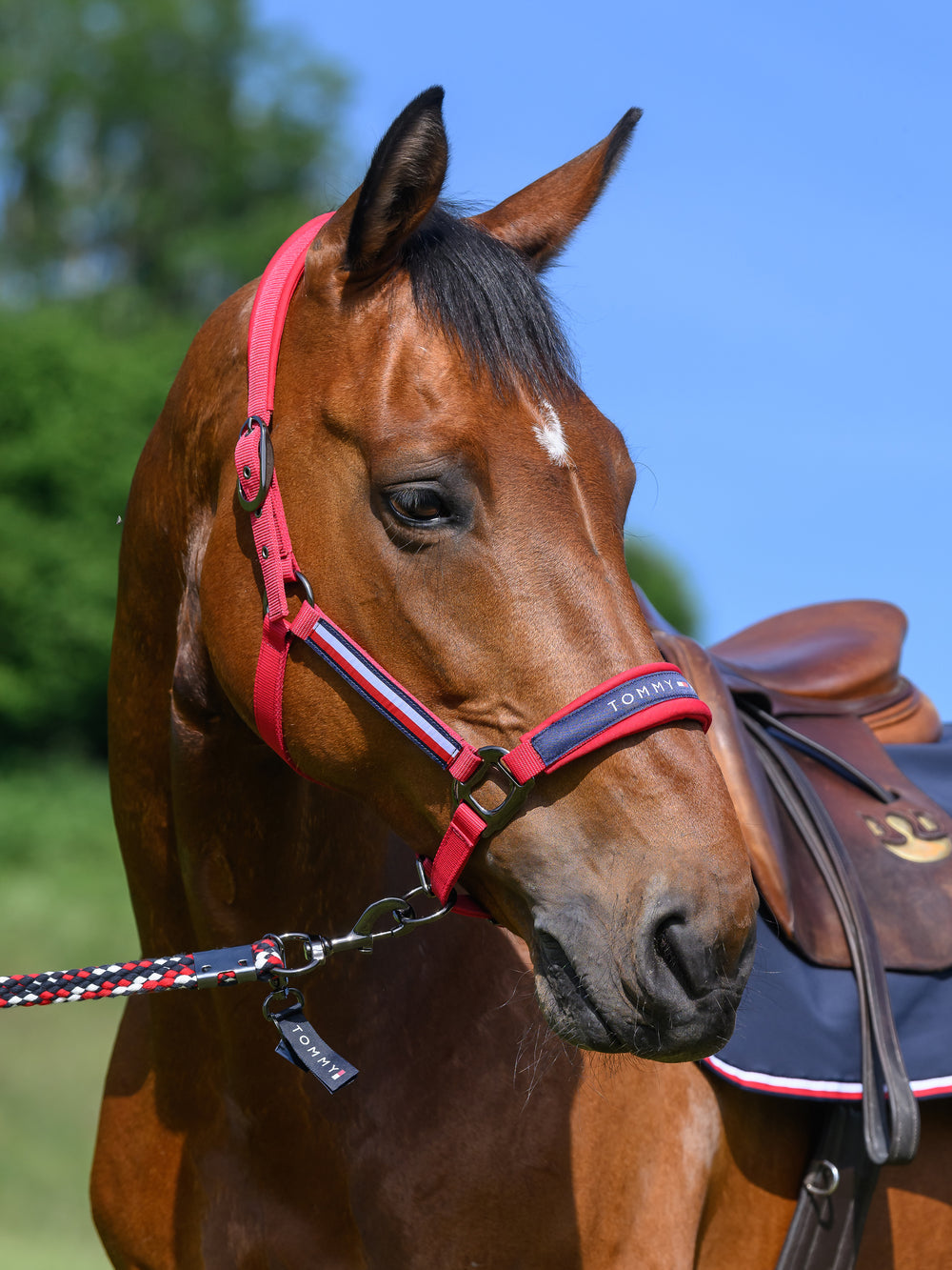 Cavezza Per Cavallo Brama West ‘River’ – Imbottita In Pile, Regolabile, Con Moschettone E Raccordi Cromati, Taglia Full Blu