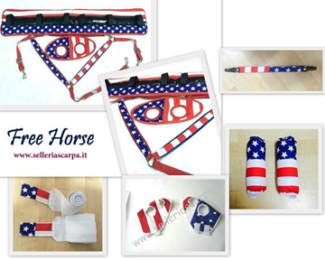 Immagine di KIT AMERICA Free Horse completo