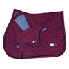 Immagine di SOTTOSELLA E CUFFIA  OXFORD TOMMY HILFIGER ROUGE (THW24)