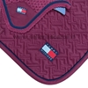 Immagine di SOTTOSELLA E CUFFIA  OXFORD TOMMY HILFIGER ROUGE (THW24)